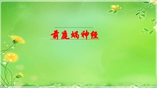 前庭神经讲座培训课件