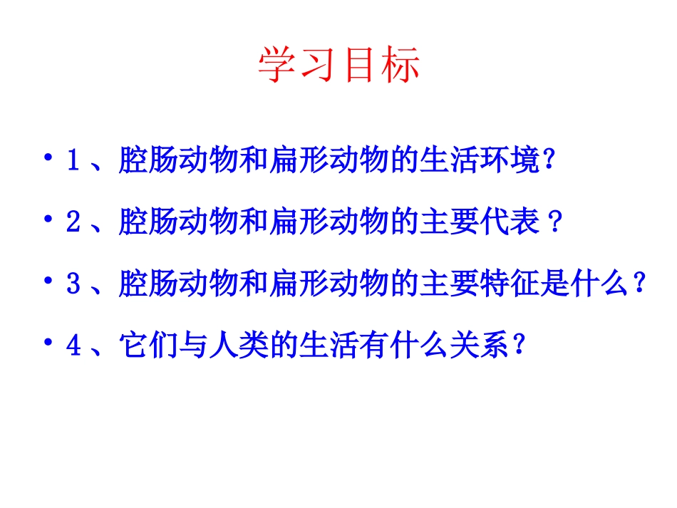 腔肠动物扁形动物_第2页