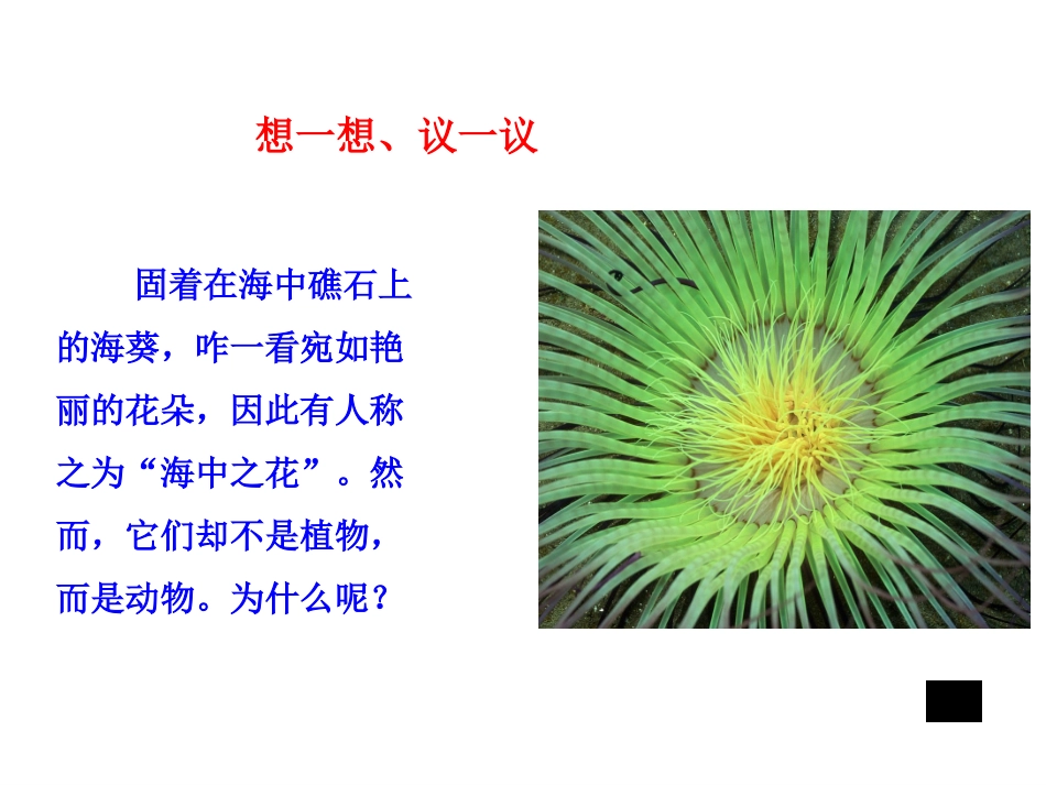 腔肠动物扁形动物_第3页