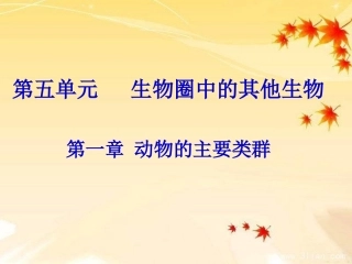 腔肠动物与扁形动物