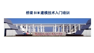 桥梁BIM建模技术入门培训
