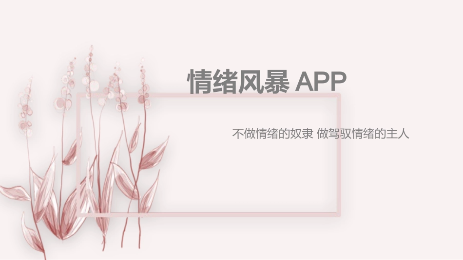 情绪风暴app商业计划书_第1页