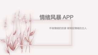 情绪风暴app商业计划书