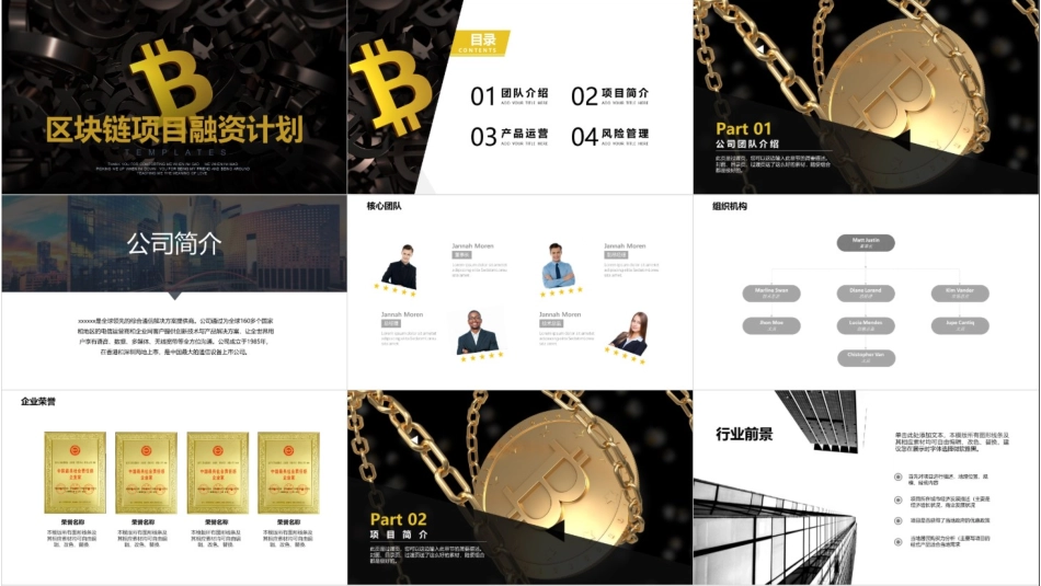 区块链区块链项目投资融资计划书_第2页