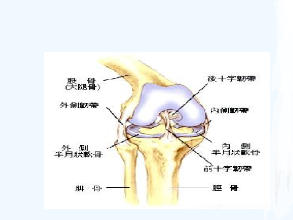 全膝关节置换术后护理课件_第2页