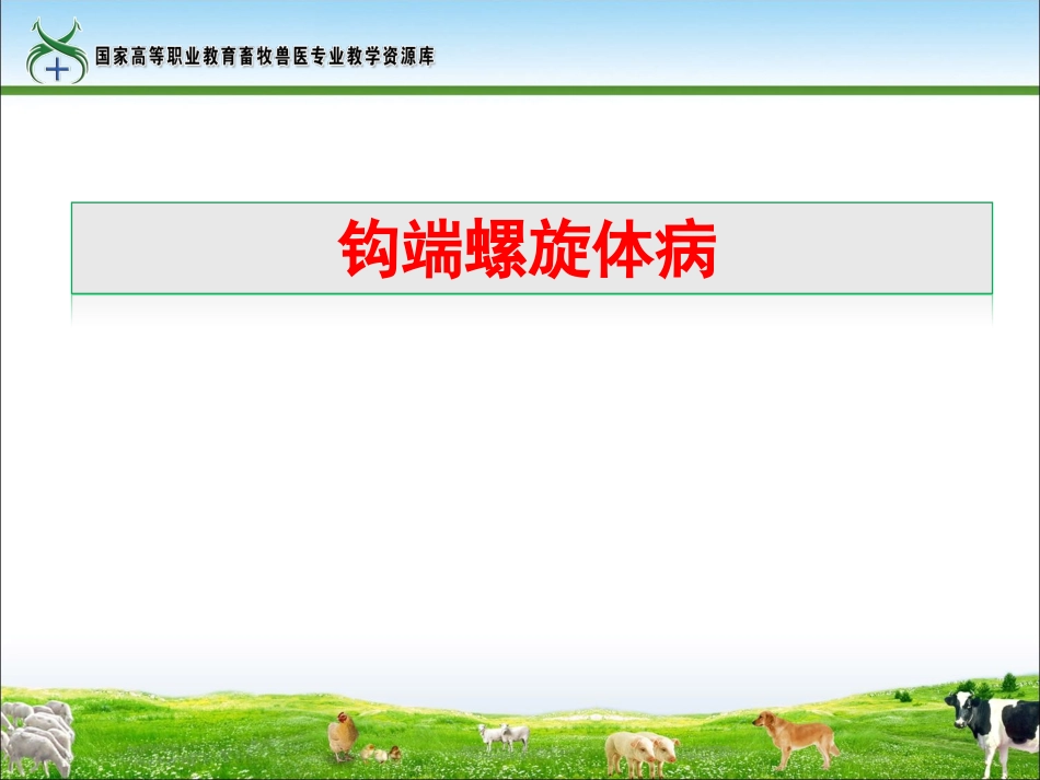 犬钩端螺旋体病_第1页