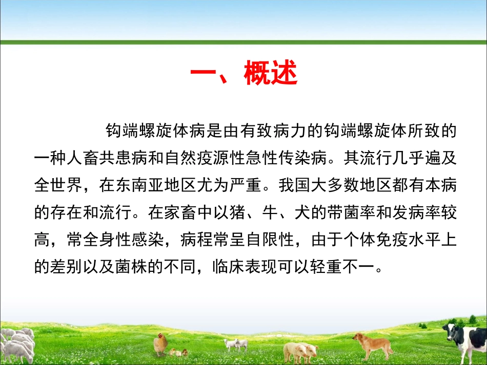 犬钩端螺旋体病_第3页