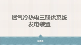 燃气冷热电三联供系统发电装置