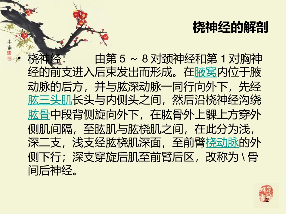 桡神经损伤课件_第2页