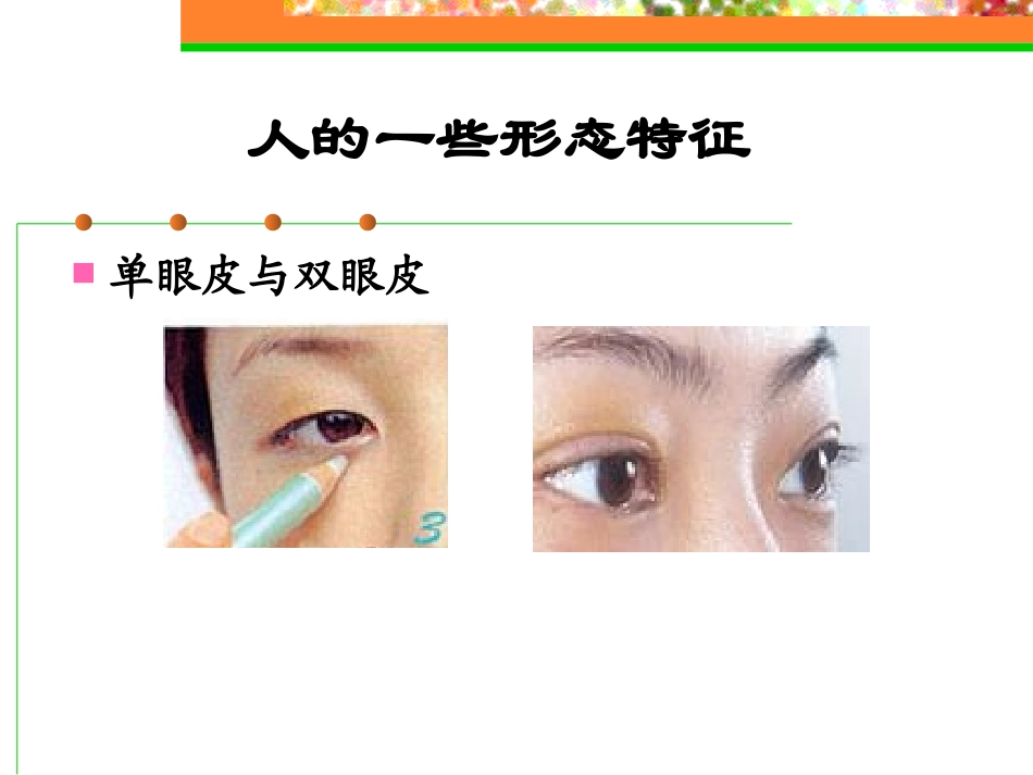 人的性状和遗传_第3页