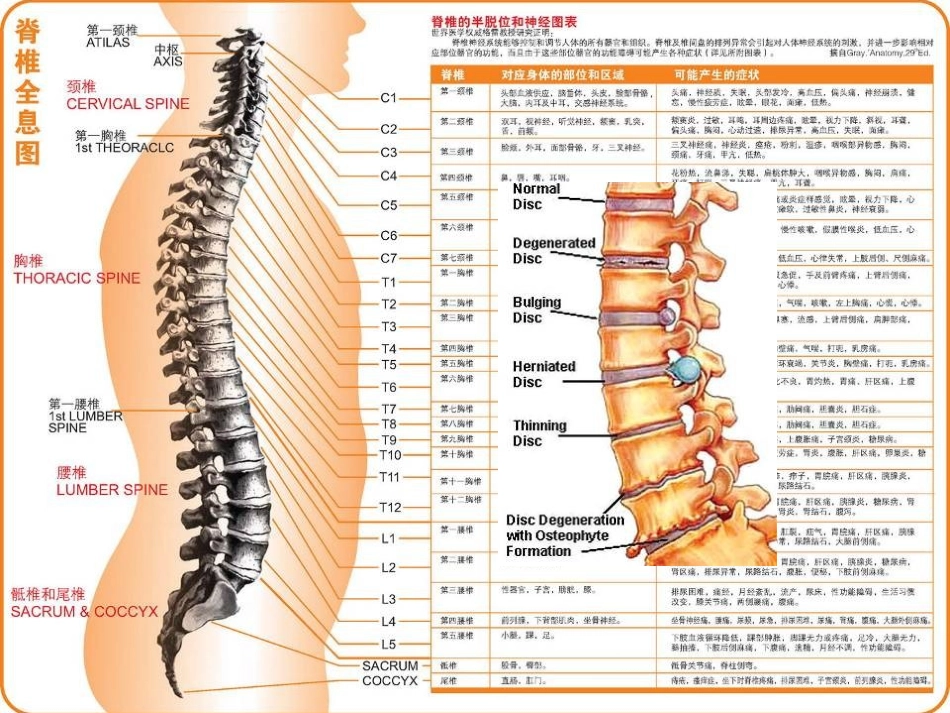 人工搬运风险评估_第3页