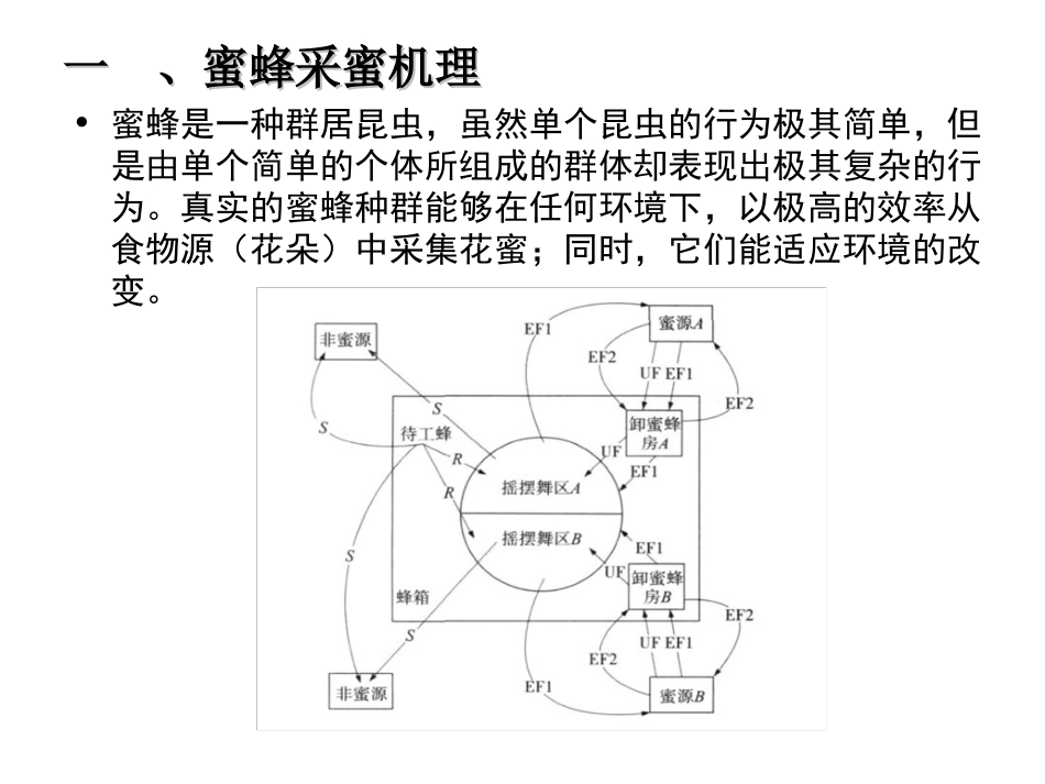 人工蜂群算法详解_第3页