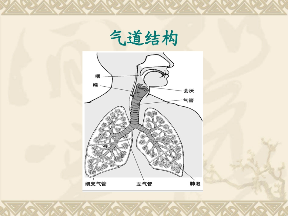 人工气道的建立和管理_第2页