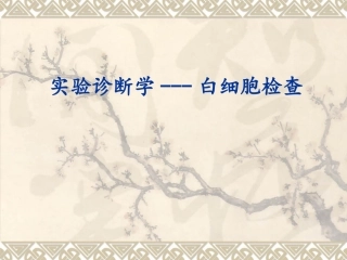 人体白细胞检查