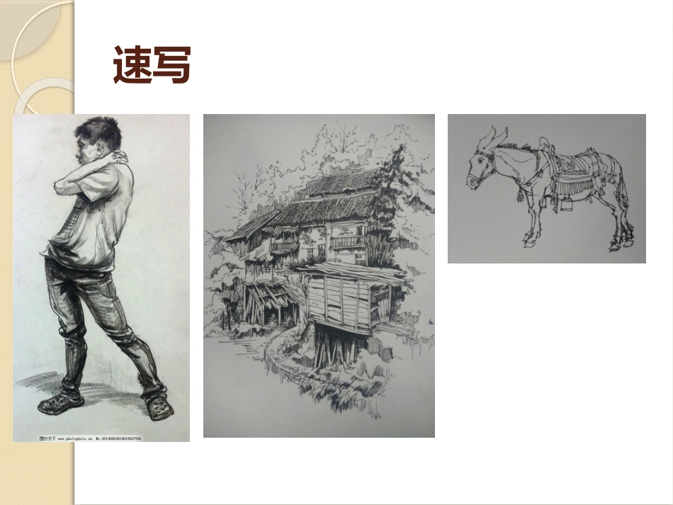 人体比例和结构_第3页