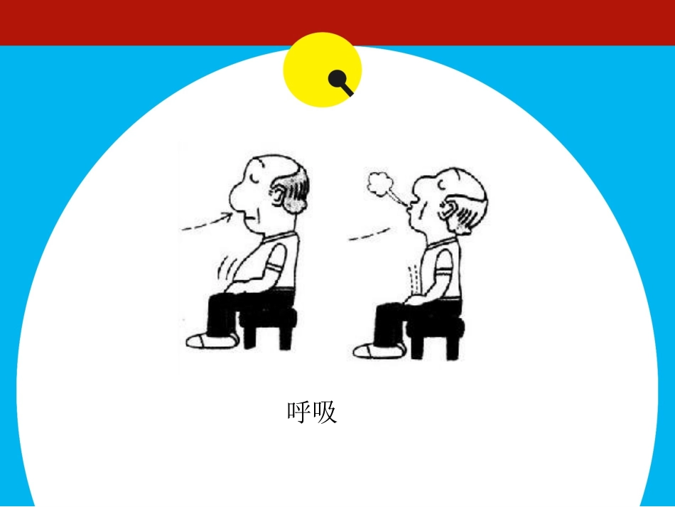 人体的工作站全解_第2页