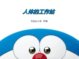 人体的工作站全解