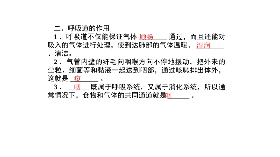 人体的呼吸复习课件_第3页
