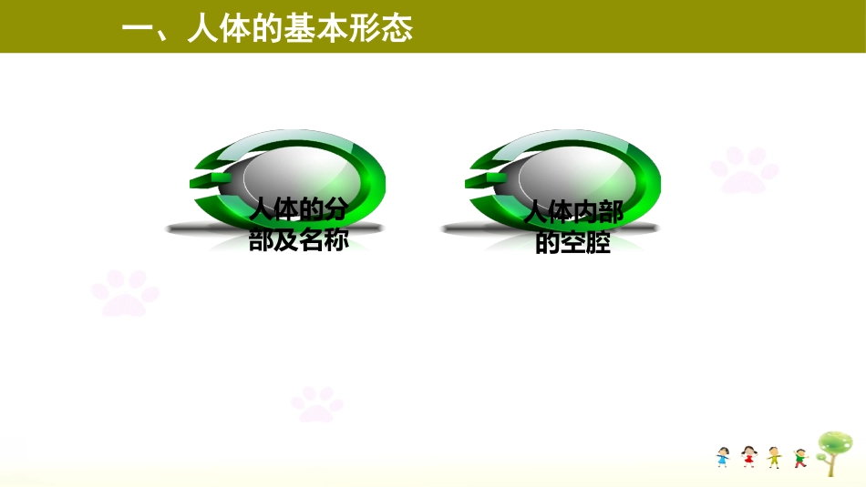 人体的形态结构_第3页