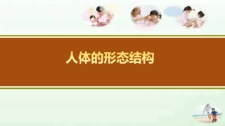 人体的形态结构