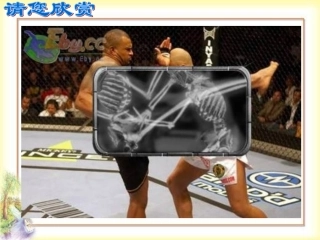 人体的支架骨骼
