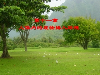 人体废物的排出