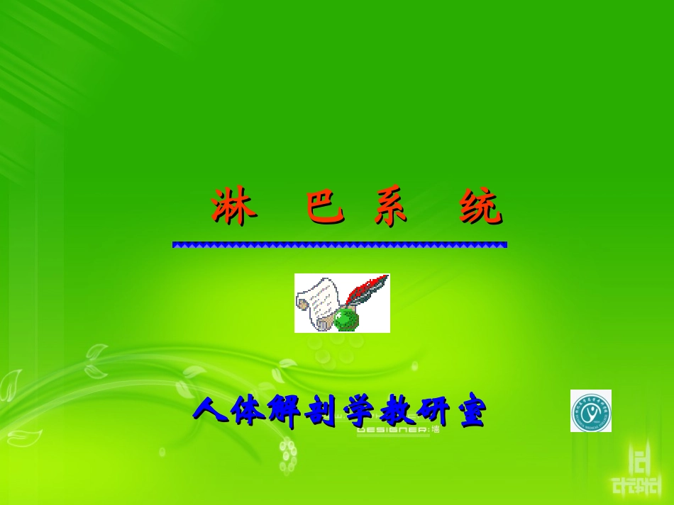 人体解剖淋巴系统_第1页