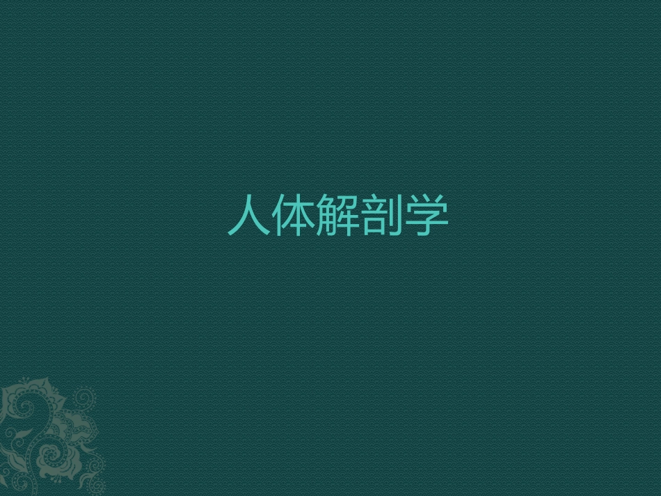 人体解剖学骨学内脏学_第1页