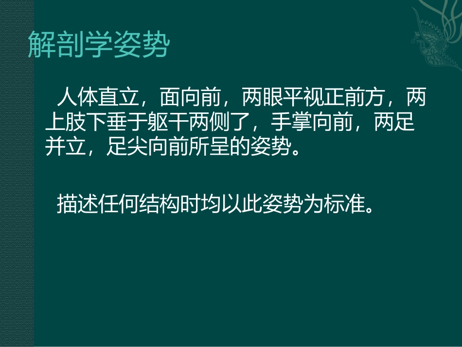 人体解剖学骨学内脏学_第3页