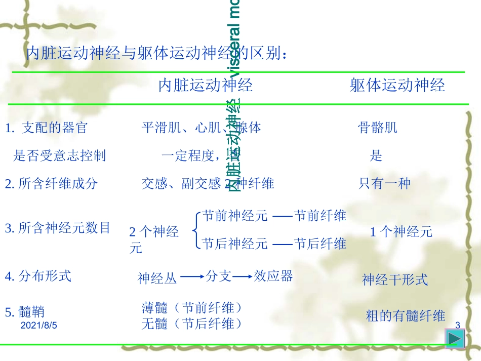 人体解剖学教学课件20内脏神经_第3页