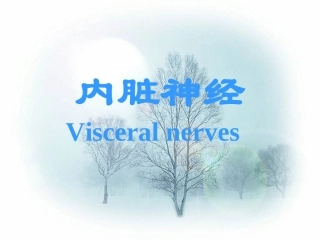 人体解剖学教学课件20内脏神经