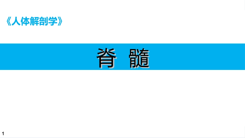 人体解剖学课件脊髓_第1页