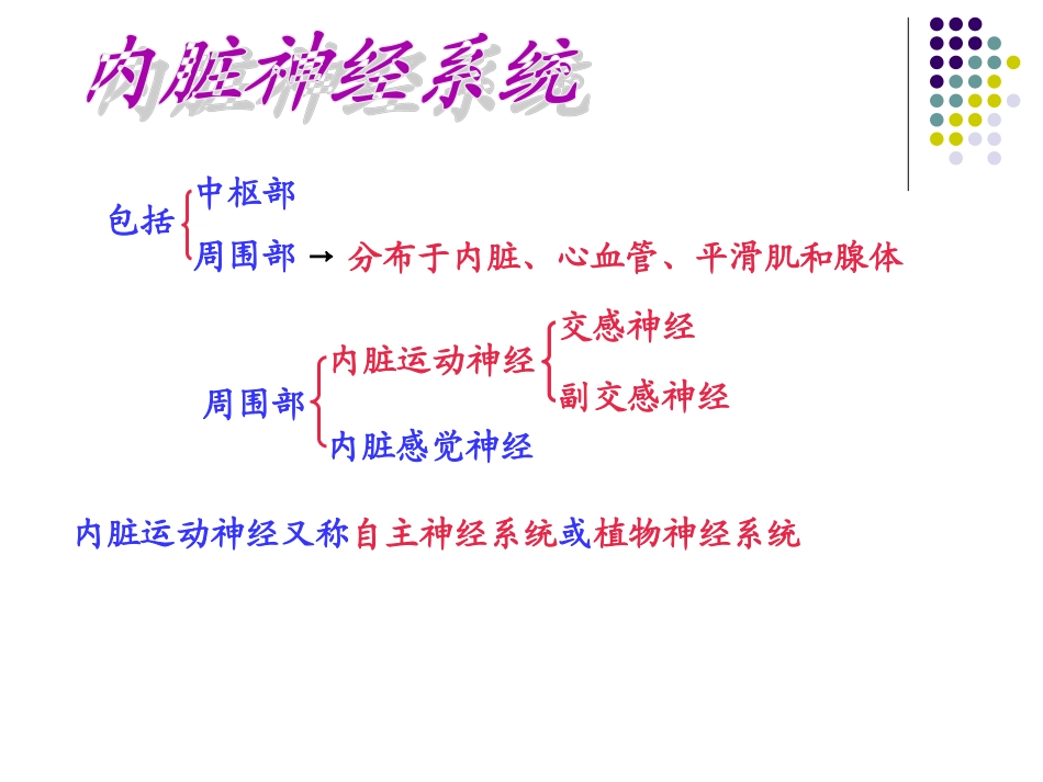 人体解剖学内脏神经_第3页