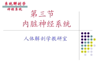 人体解剖学内脏神经