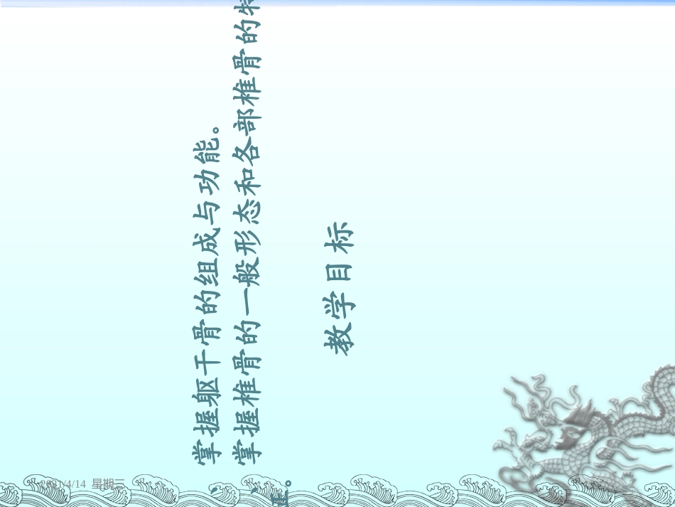 人体解剖学躯干骨课件qin_第2页
