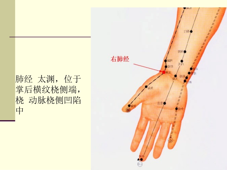人体经络细图_第2页