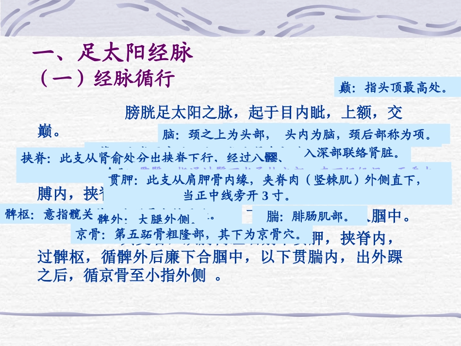 人体经络穴位图谱膀胱经_第3页