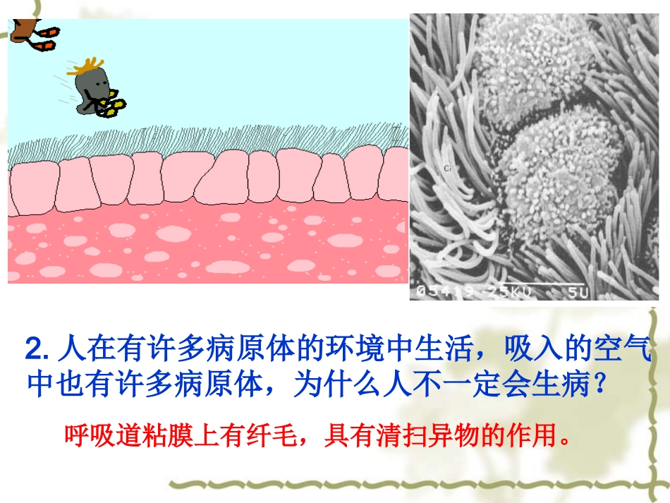 人体免疫专业知识讲座培训课件_第3页