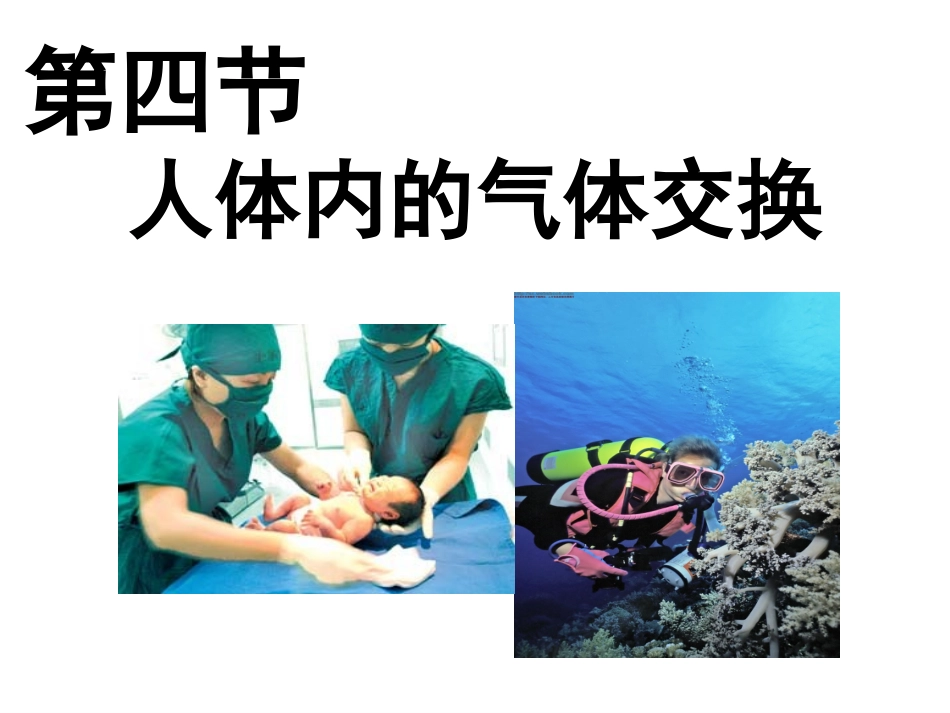 人体内的气体交换_第2页