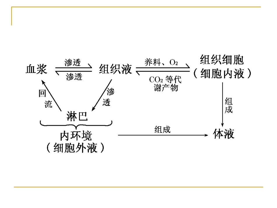 人体内环境的自稳态课件_第3页