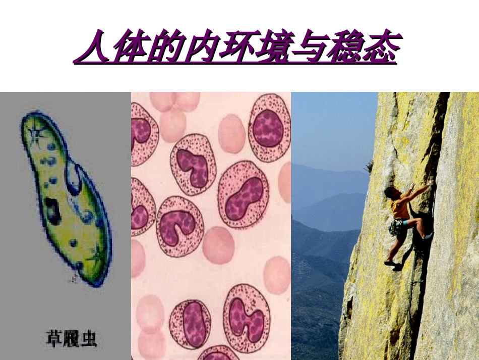人体内环境和稳态_第1页
