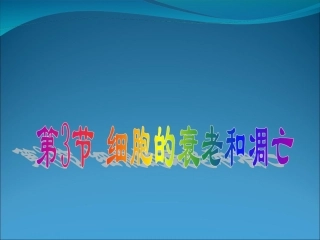 人体衰老表现出哪些特征