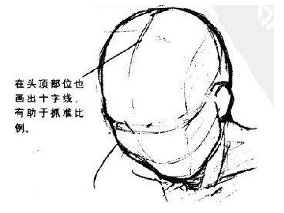 人物简笔画头部画法讲解_第3页
