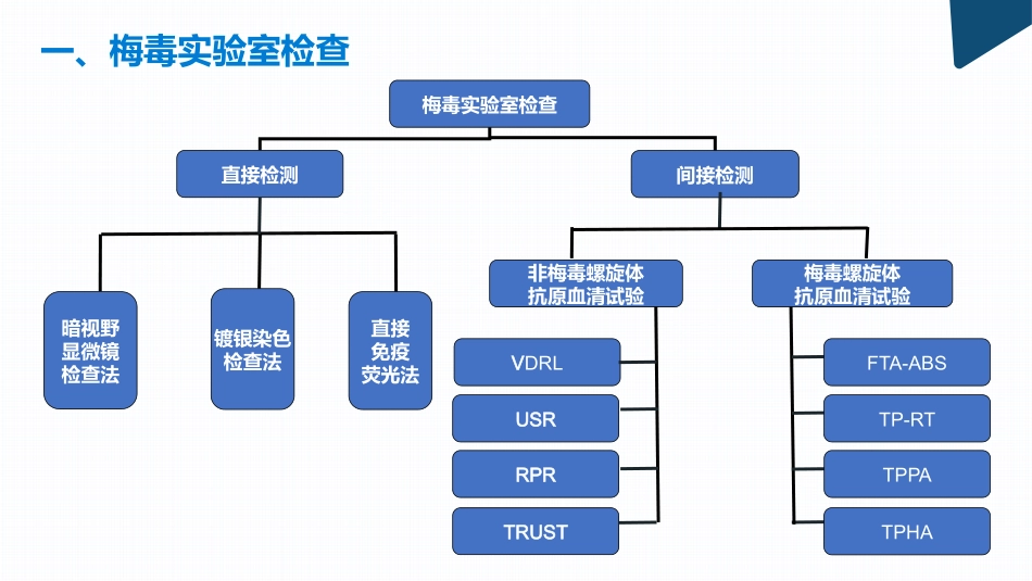 妊娠合并梅毒_第3页