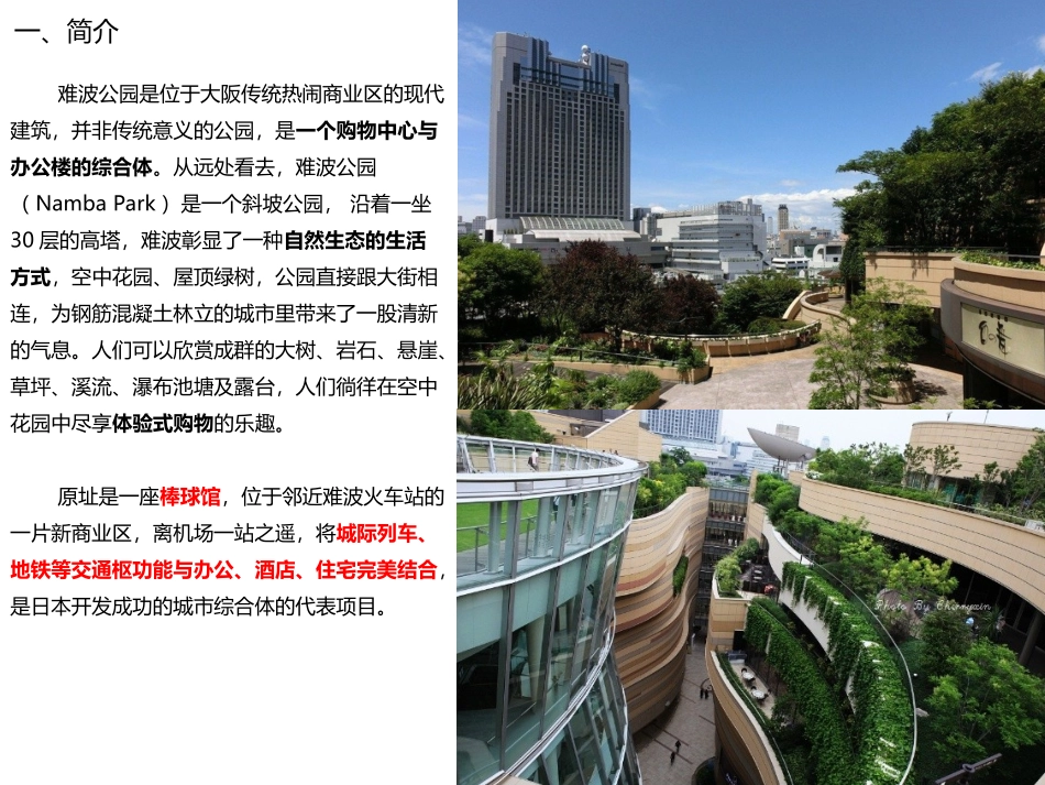 日本难波公园案例分析课件_第2页