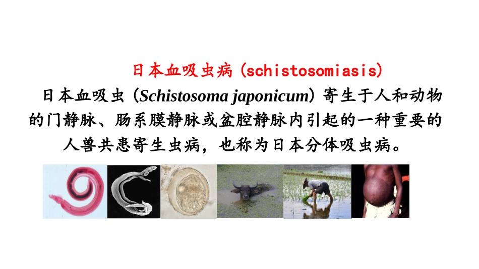日本血吸虫病_第2页