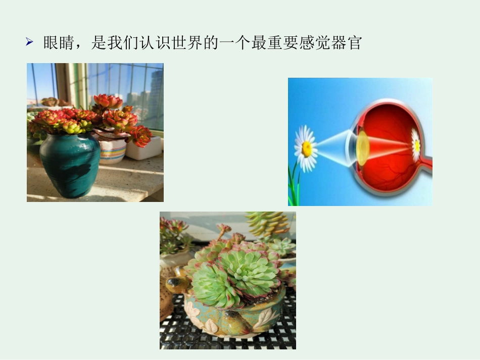 如何科学防治近视_第2页