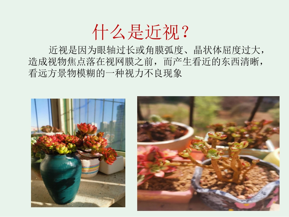 如何科学防治近视_第3页