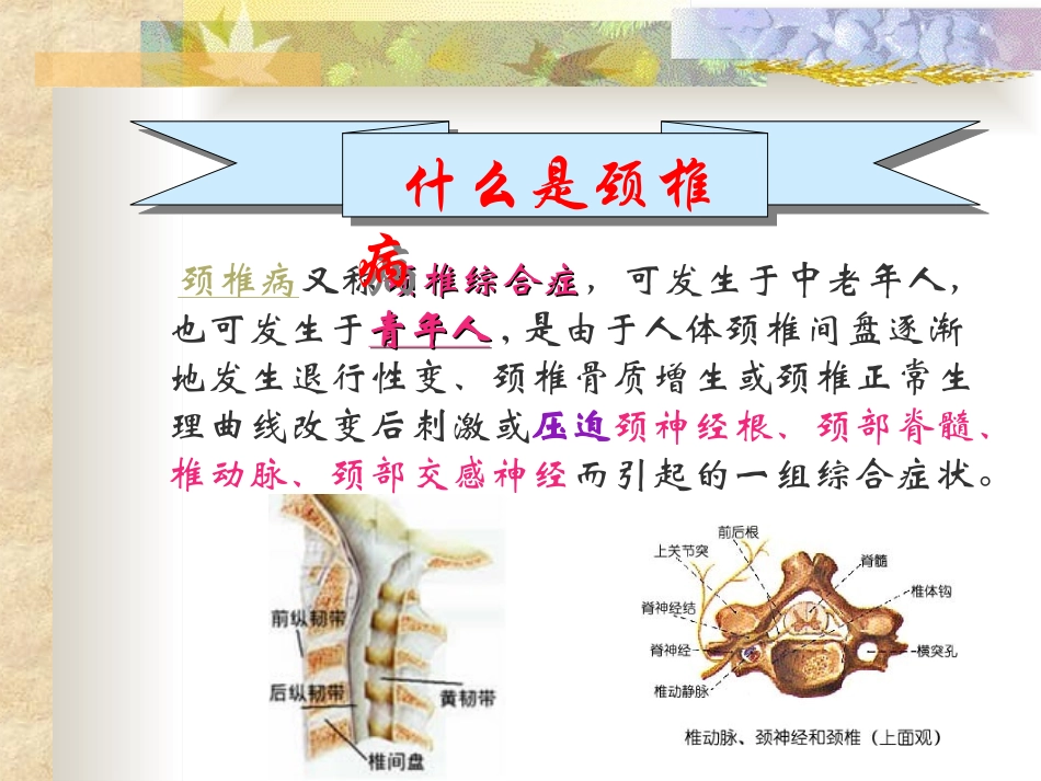 如何预防颈椎病_第2页