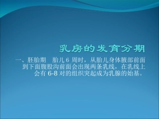 乳腺的发育分期